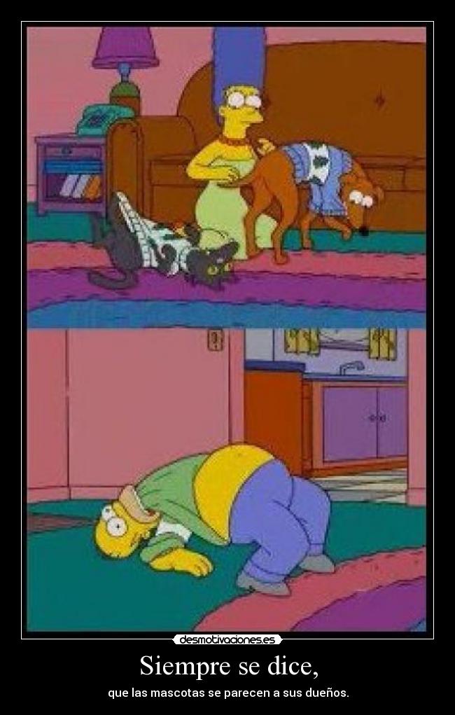 Siempre se dice, - que las mascotas se parecen a sus dueños.