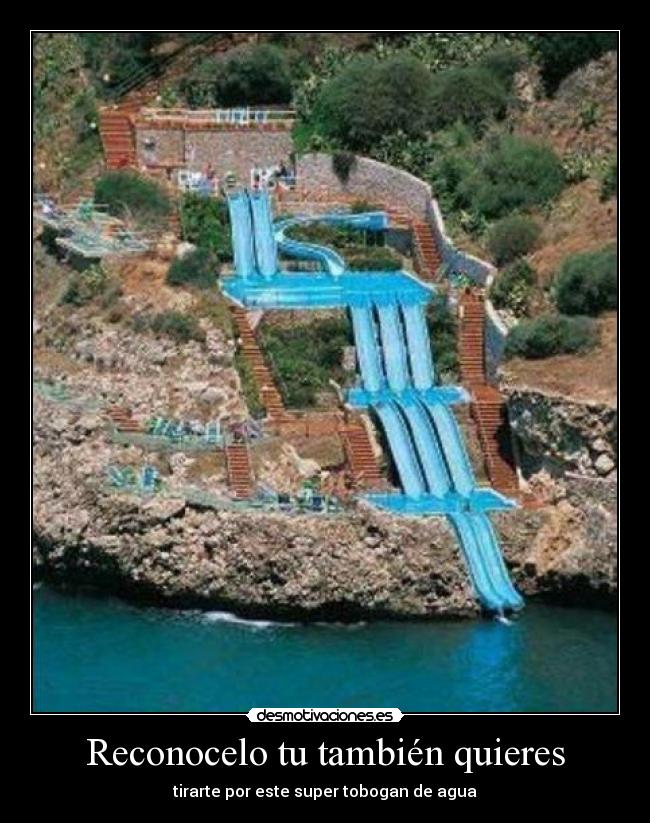 Reconocelo tu también quieres - 