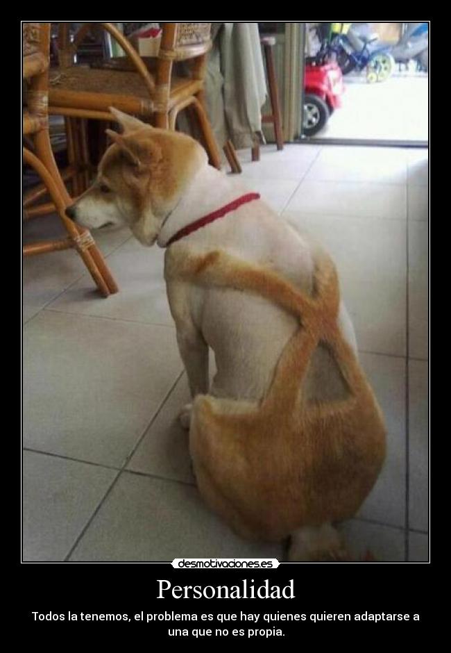 Personalidad - Todos la tenemos, el problema es que hay quienes quieren adaptarse a
una que no es propia.