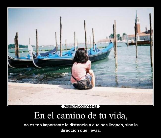 carteles vida vida direcciones desmotivaciones