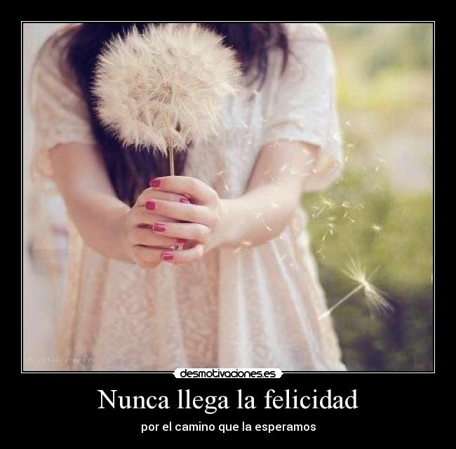 Nunca llega la felicidad - por el camino que la esperamos