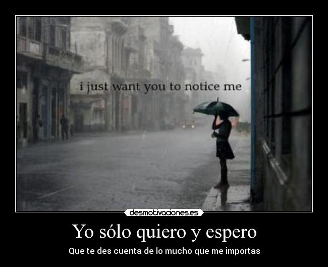 Yo sólo quiero y espero - Que te des cuenta de lo mucho que me importas