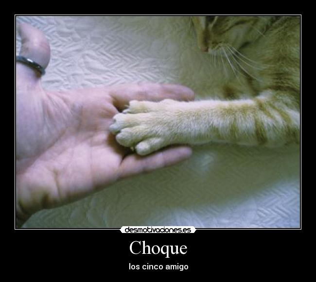Choque -