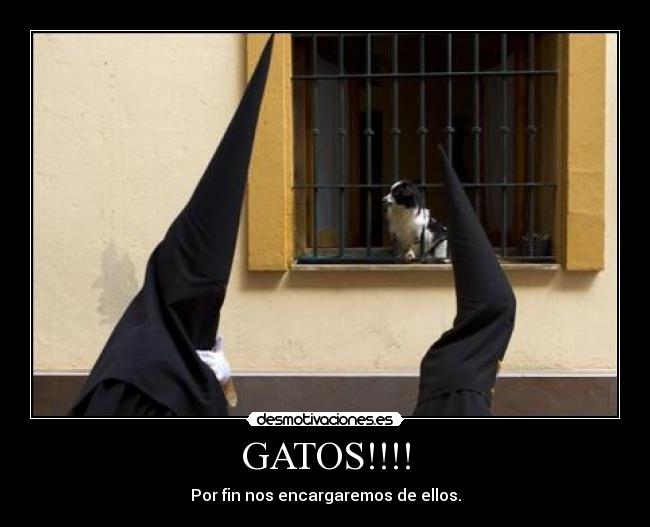 GATOS!!!! - Por fin nos encargaremos de ellos.