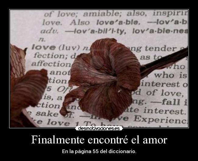 Finalmente encontré el amor - En la página 55 del diccionario.
