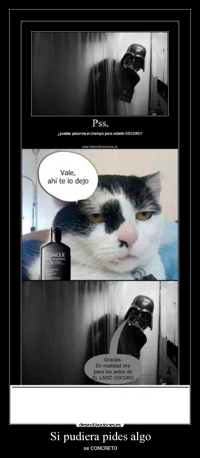 Si pudiera pides algo - se CONCRETO