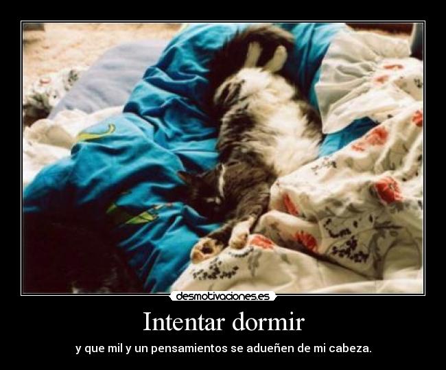 Intentar dormir - y que mil y un pensamientos se adueñen de mi cabeza.