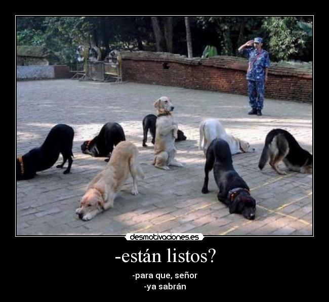 -están listos? - 