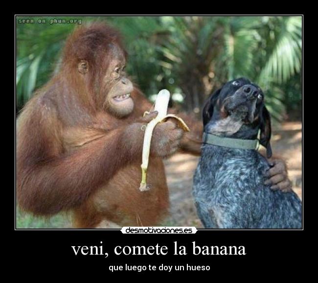 carteles enigmafortinero desmotivaciones