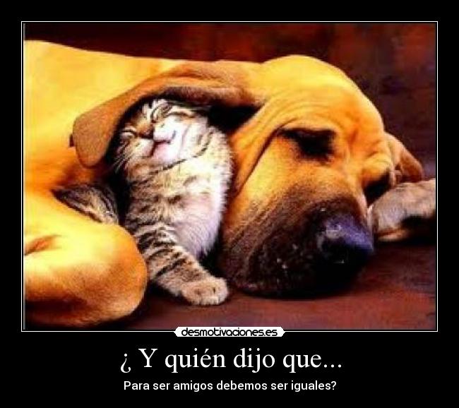 ¿ Y quién dijo que... - 