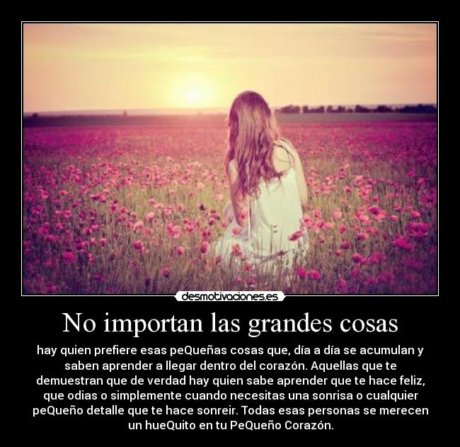 No importan las grandes cosas -