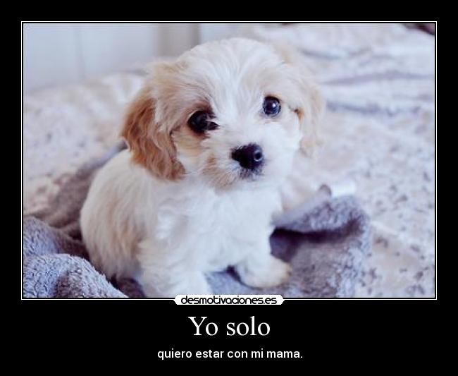 Yo solo - quiero estar con mi mama.