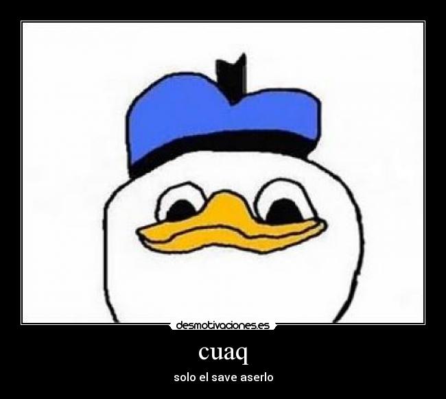 cuaq - solo el save aserlo