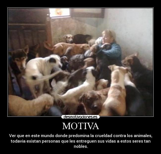 MOTIVA -