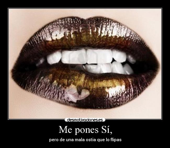 Me pones Sí, -