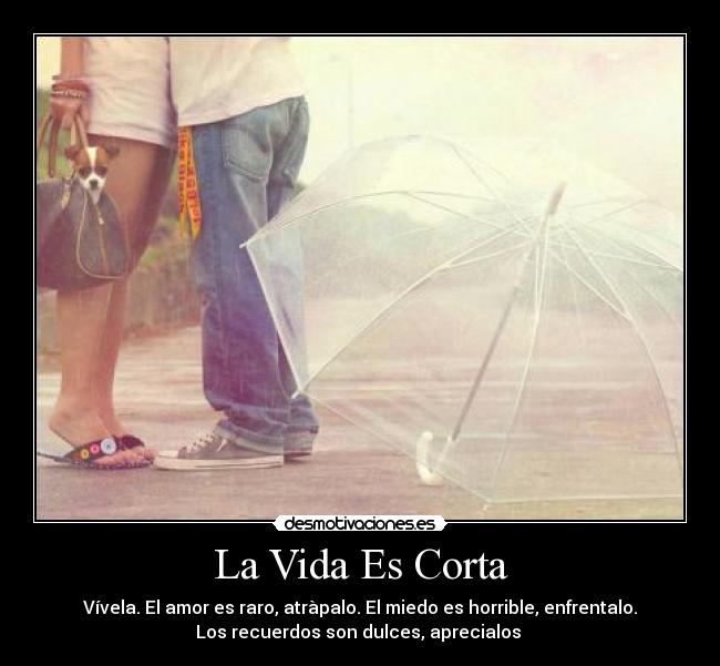 La Vida Es Corta - 