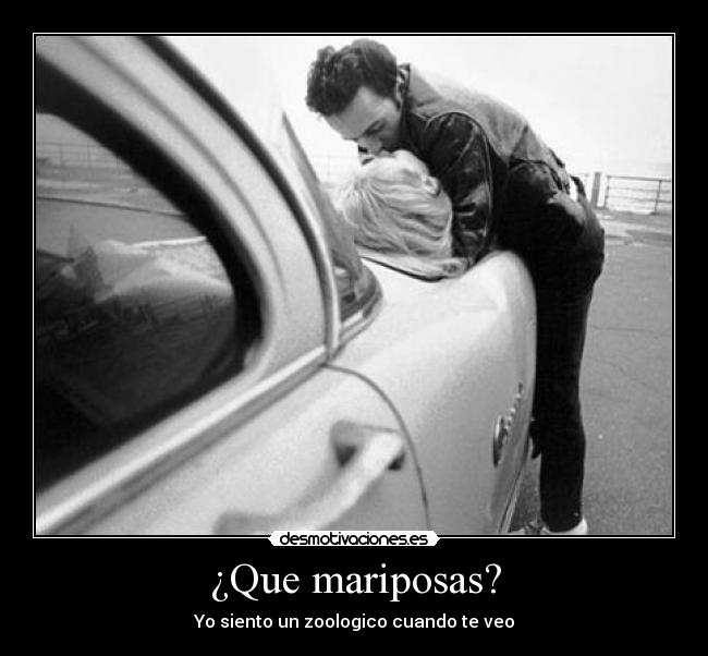 ¿Que mariposas? - Yo siento un zoologico cuando te veo