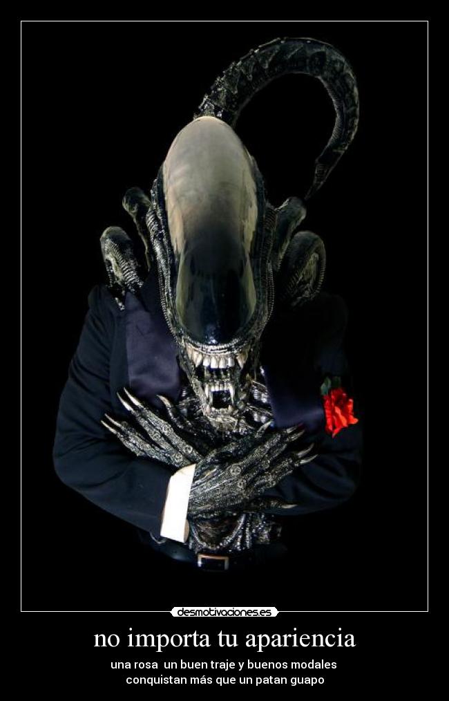 no importa tu apariencia - 