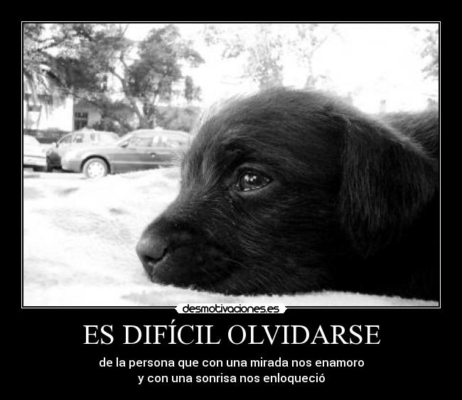 ES DIFÍCIL OLVIDARSE - de la persona que con una mirada nos enamoro
y con una sonrisa nos enloqueció