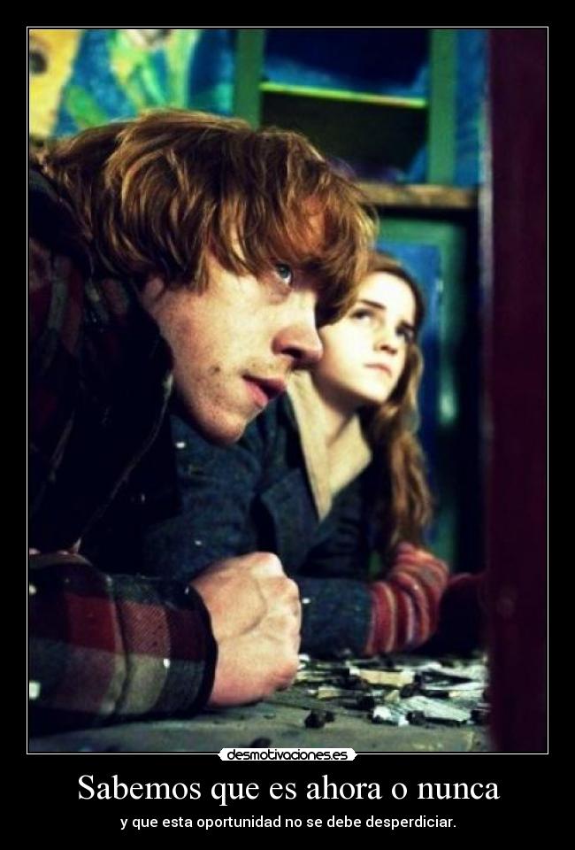 Sabemos que es ahora o nunca - y que esta oportunidad no se debe desperdiciar.