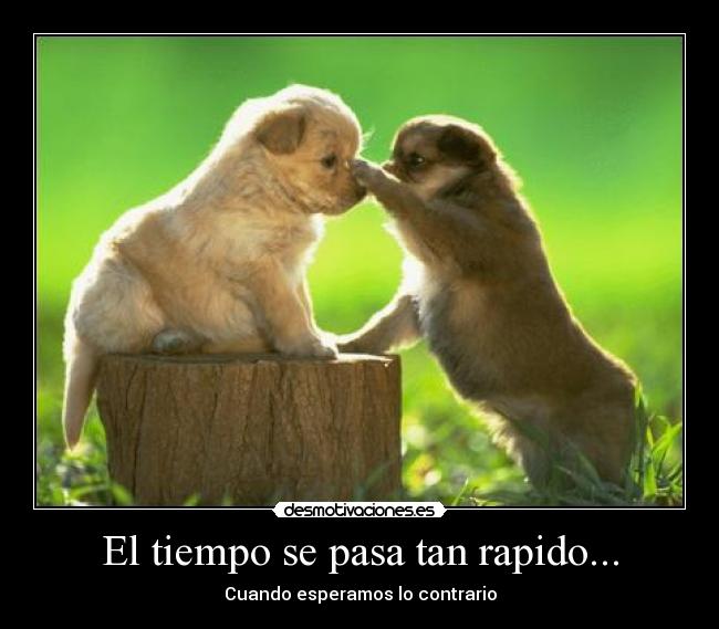 El tiempo se pasa tan rapido... - 