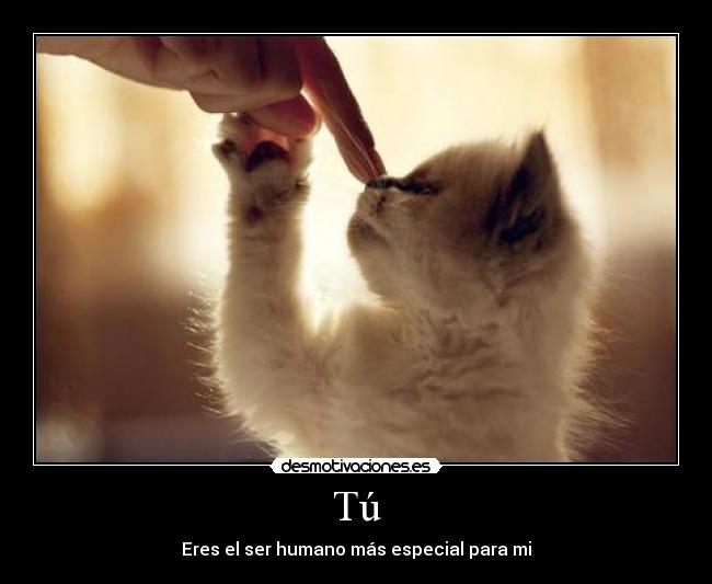 Tú - Eres el ser humano más especial para mi