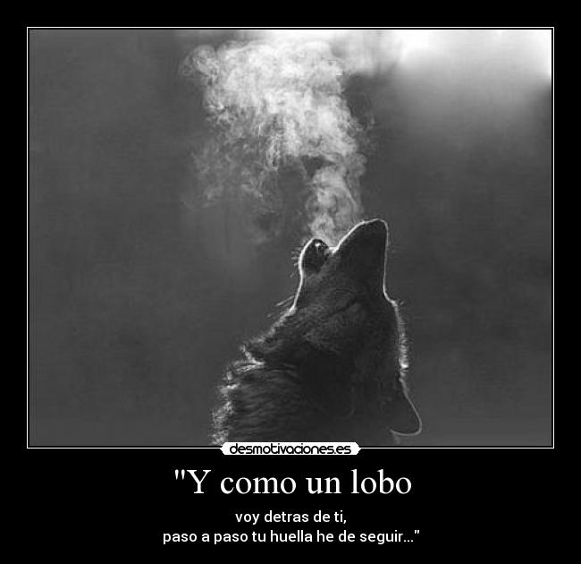 Y como un lobo - voy detras de ti,
paso a paso tu huella he de seguir...