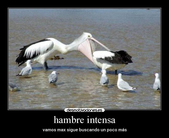 hambre intensa -