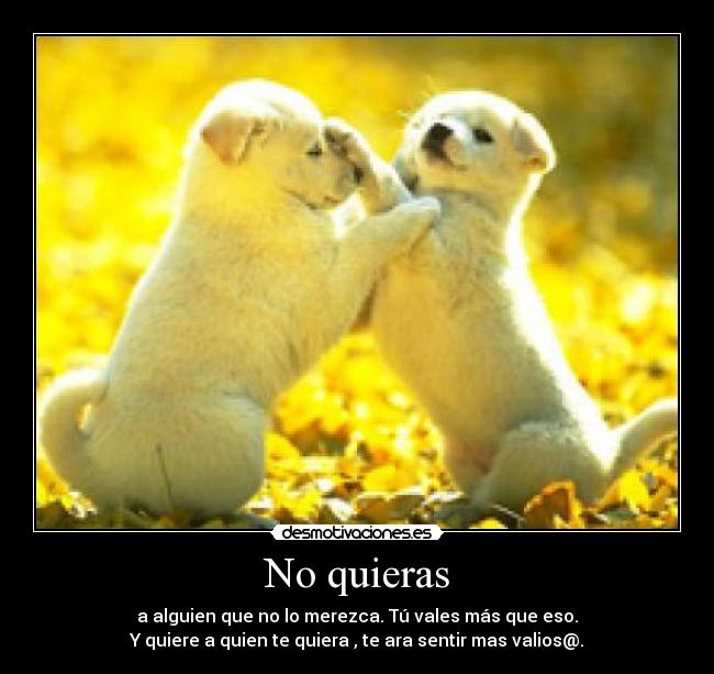 carteles valor desmotivaciones