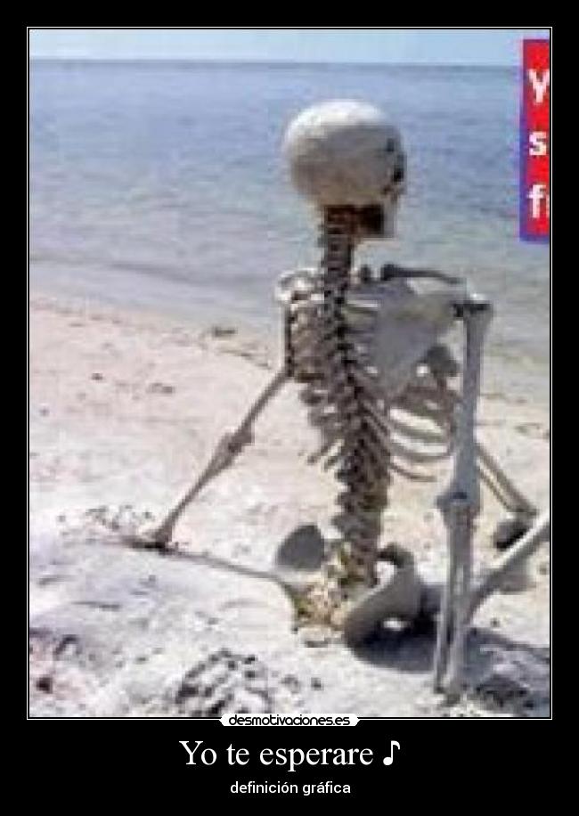 Yo te esperare ♪ - definición gráfica