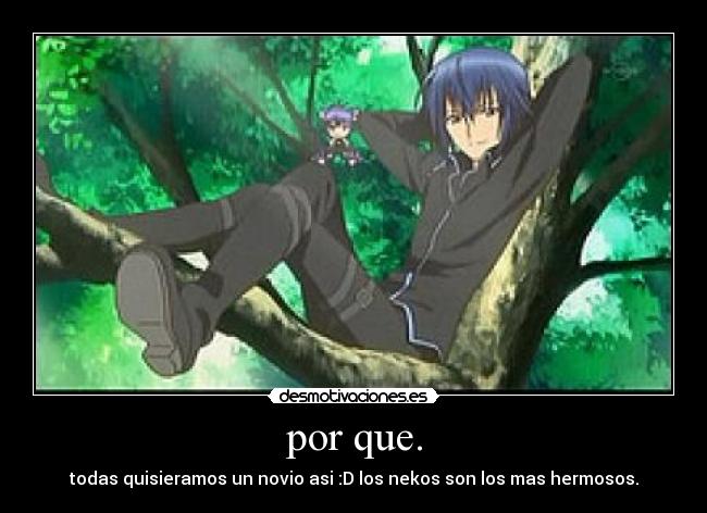 carteles mirai desmotivaciones