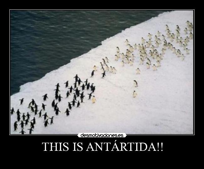 THIS IS ANTÁRTIDA!! - 