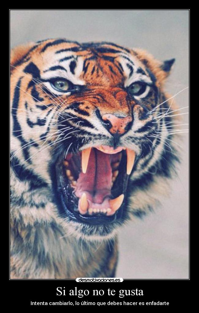 carteles guillari desmotivaciones