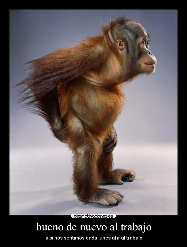 bueno de nuevo al trabajo -