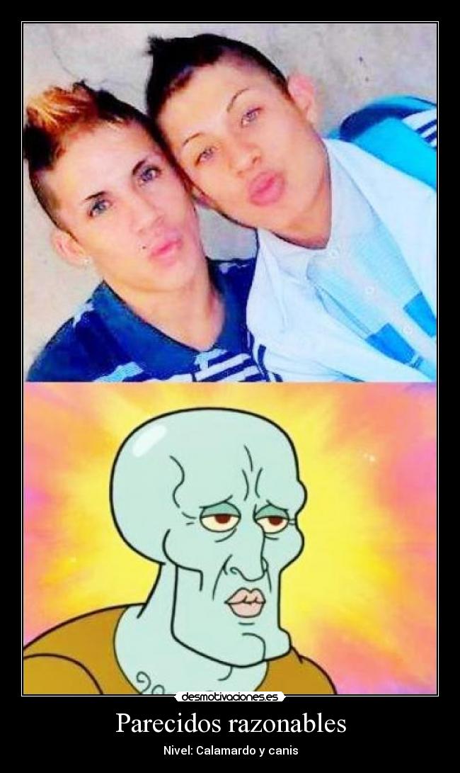 Parecidos razonables -