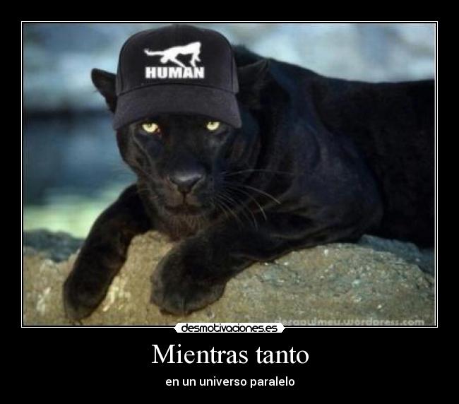 Mientras tanto - en un universo paralelo