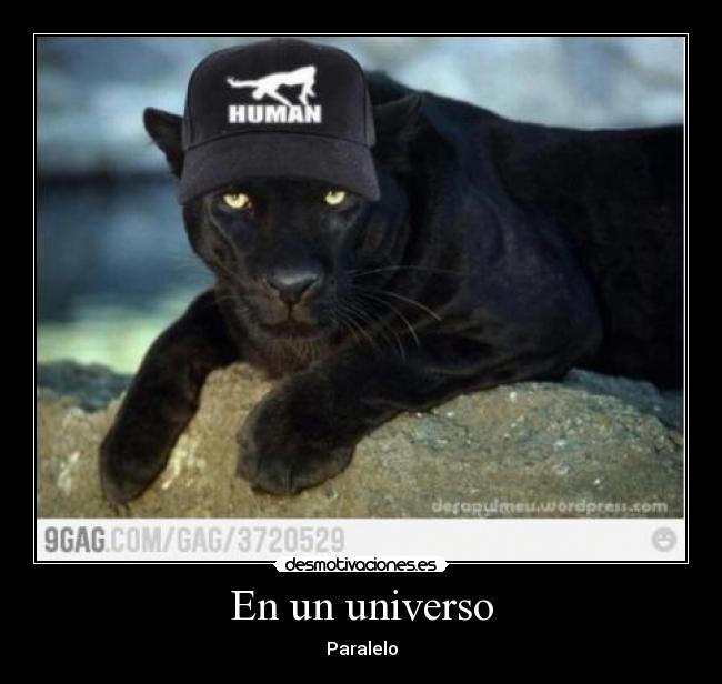 En un universo - Paralelo