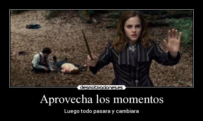 carteles venezuela desmotivaciones