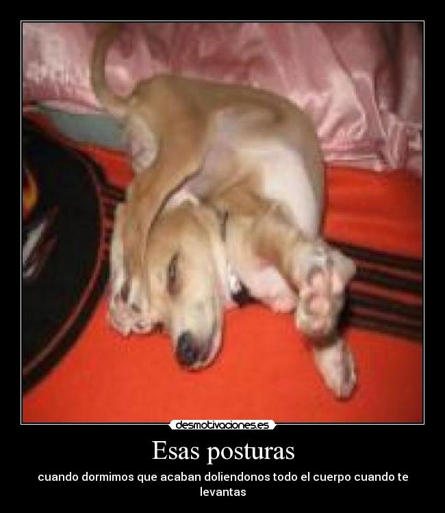Esas posturas - cuando dormimos que acaban doliendonos todo el cuerpo cuando te levantas