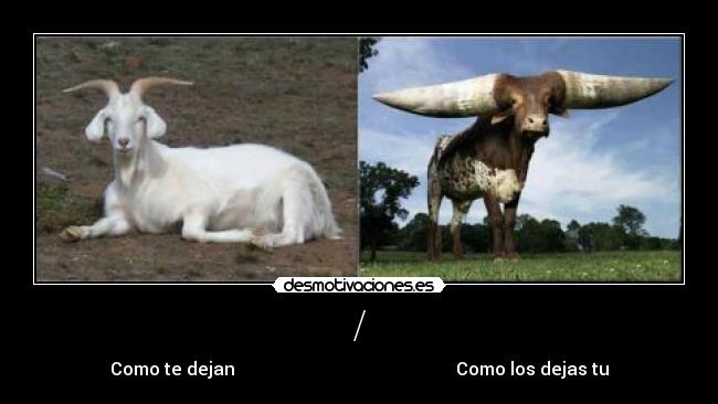 / - Como te dejan                                                  Como los dejas tu