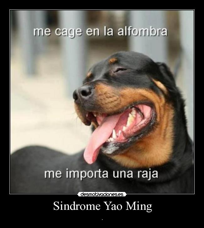 Sindrome Yao Ming - .