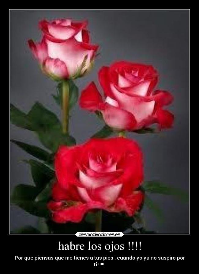 carteles tito desmotivaciones