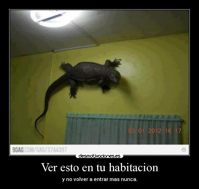 Ver esto en tu habitacion - y no volver a entrar mas nunca.