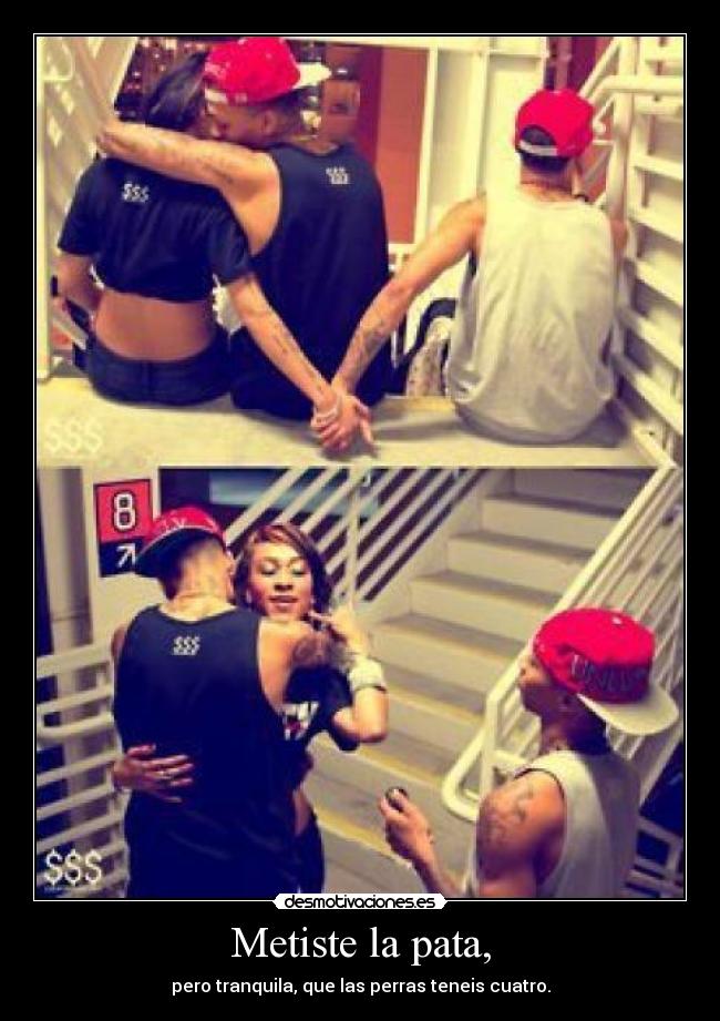 Metiste la pata, - pero tranquila, que las perras teneis cuatro.
