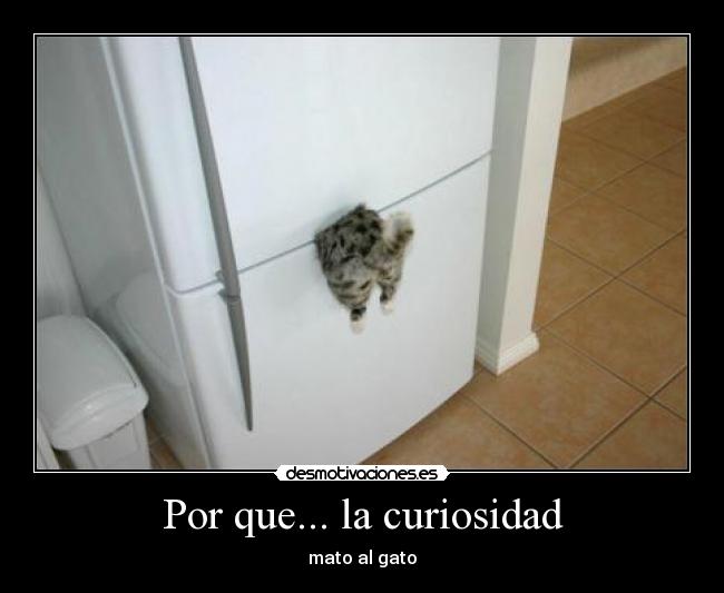 Por que... la curiosidad - mato al gato