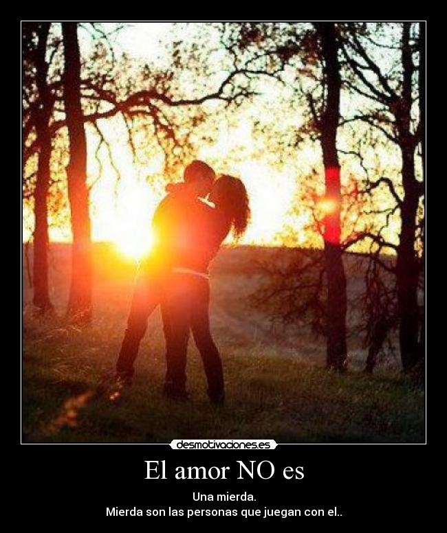 carteles amor amor mierda desmotivaciones