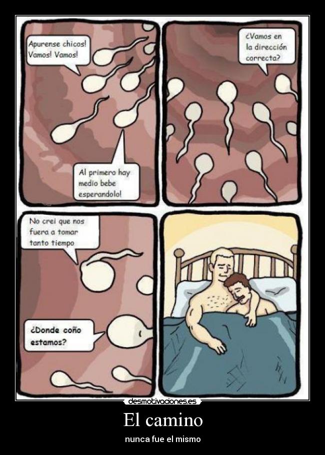 El camino -