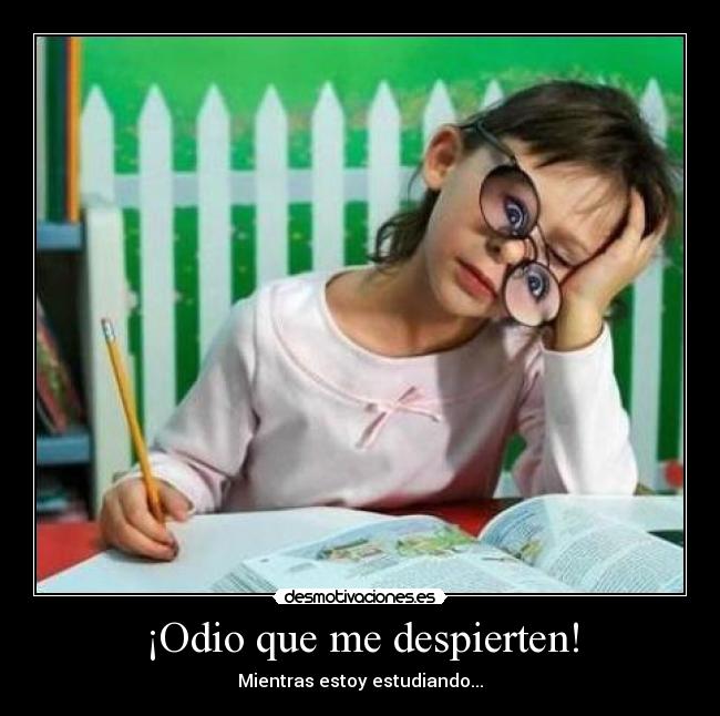 ¡Odio que me despierten! - Mientras estoy estudiando...