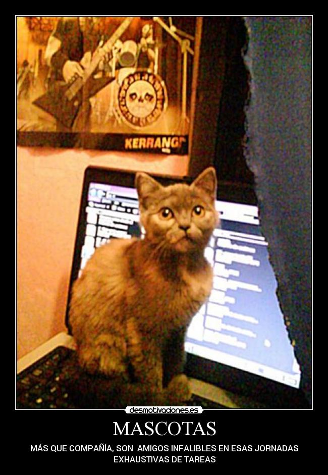 carteles victoria carchipulla desmotivaciones