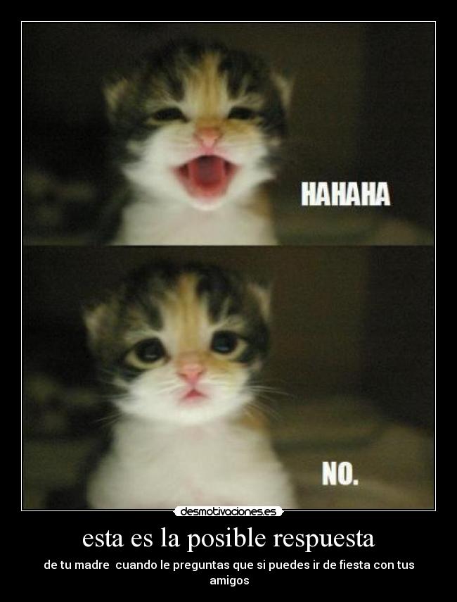 esta es la posible respuesta - de tu madre cuando le preguntas que si puedes ir de fiesta con tus amigos